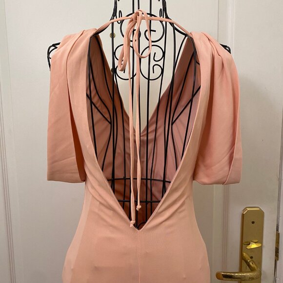 Vintage NWT Women BCBGMAXAZRIA Peach/Blush Backless Maxi Column Dress Gown Size - Picture 7 of 11